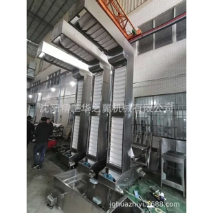 于洪区全自动糖果粒斗式机 干鲜果品Z字型机上料设备
