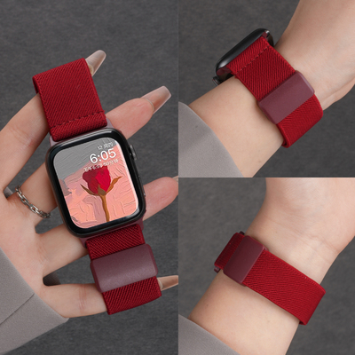 VIUE适用苹果S11/10编织磁吸表带