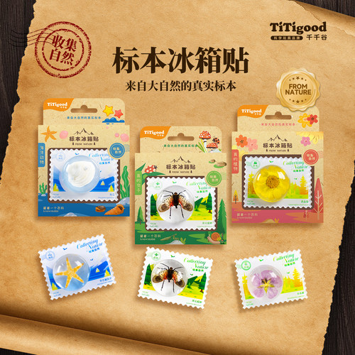 千千谷自然标本系列冰箱贴