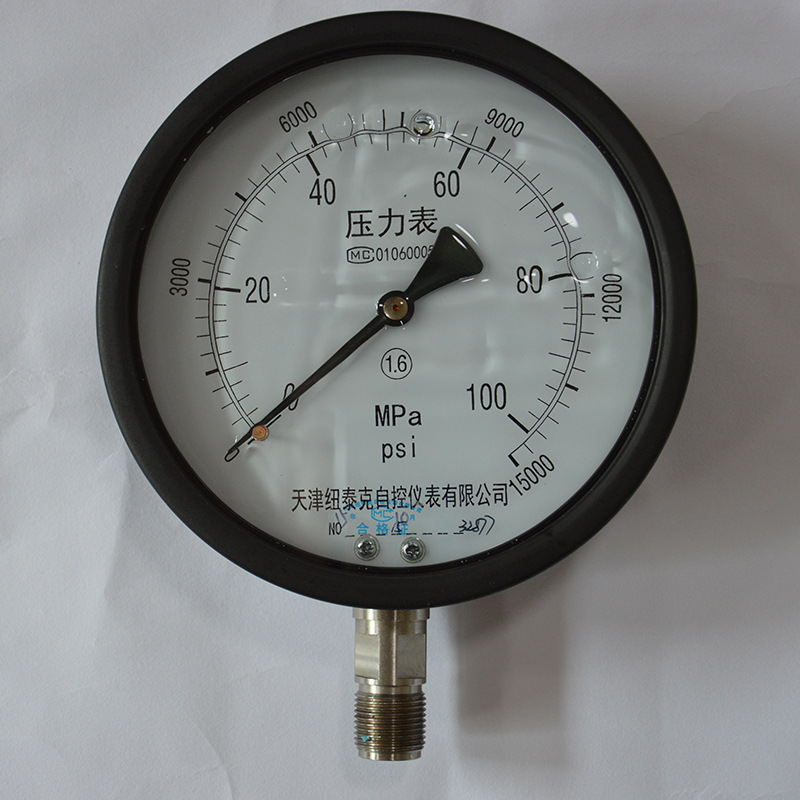 纽泰克绝压压力表 磁式差压计 法兰差压差压液位计 YTPBF100LC