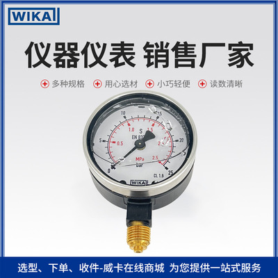 213.40.063型压力表 抗震抗冲击用于采矿工业液压装置WIKA压力表
