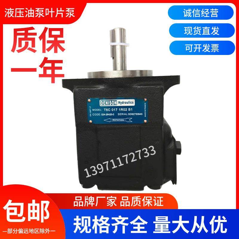 叶片油泵T6C-017-1R01-B1 高压油泵T6D-028注塑机液压泵T6E动力泵,标准件/零部件/工业耗材,液压泵,淘宝优惠券,粉丝福利购,淘宝优惠卷