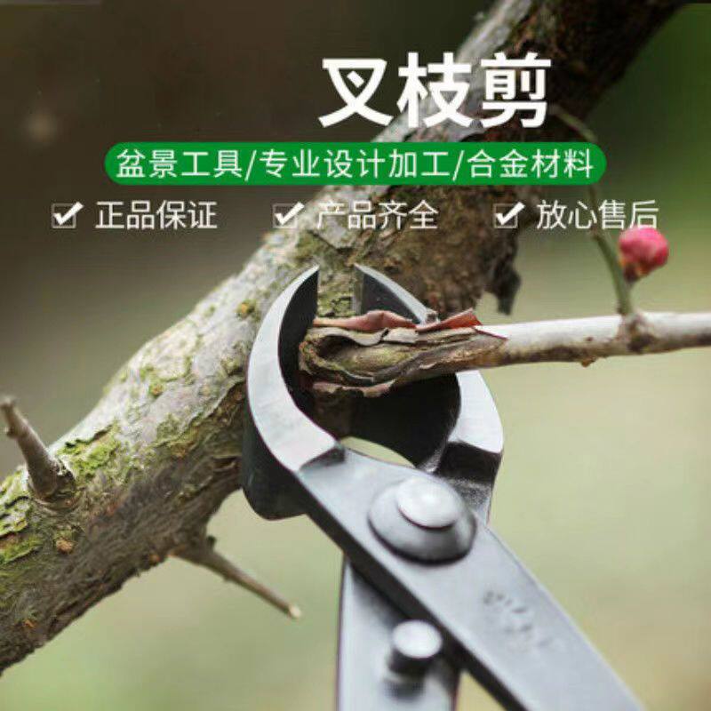 盆景工具制作养护工具盆栽工具叉枝剪斜口剪叉枝钳斜切剪工具包