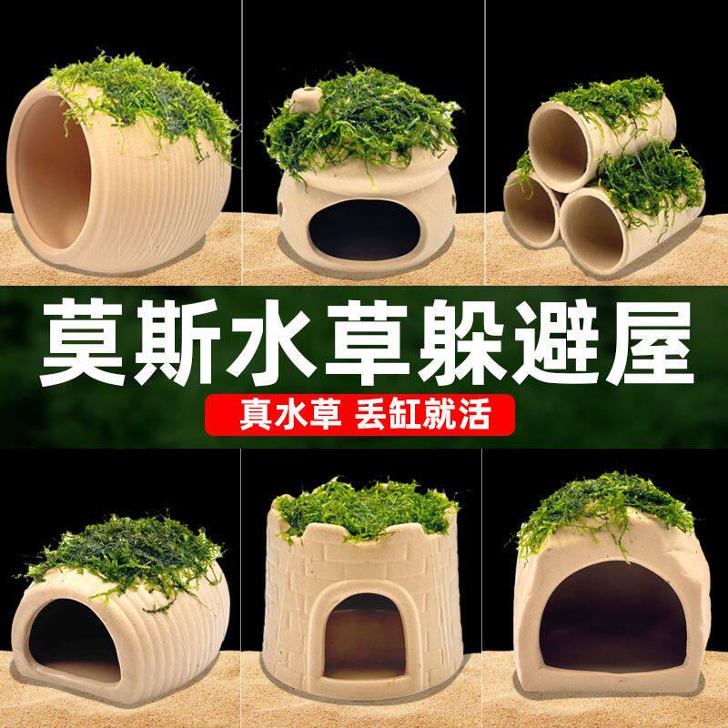 水屿鱼鱼缸水草造景莫斯水草懒人真植物躲避罐陶罐虾屋摆件小鱼躲