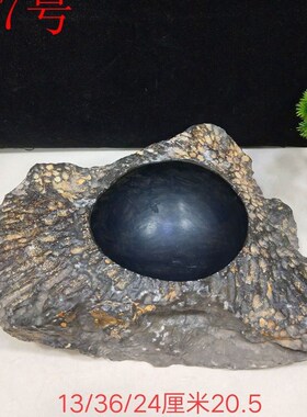 精品天然珊瑚虫化石小鱼缸 烟灰缸 小花盆 聚宝盆 奇.石玉石摆件