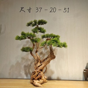 精品天然风化木i枯木崖柏禅悟木雕根雕摆件玄关家居客厅雕刻工艺
