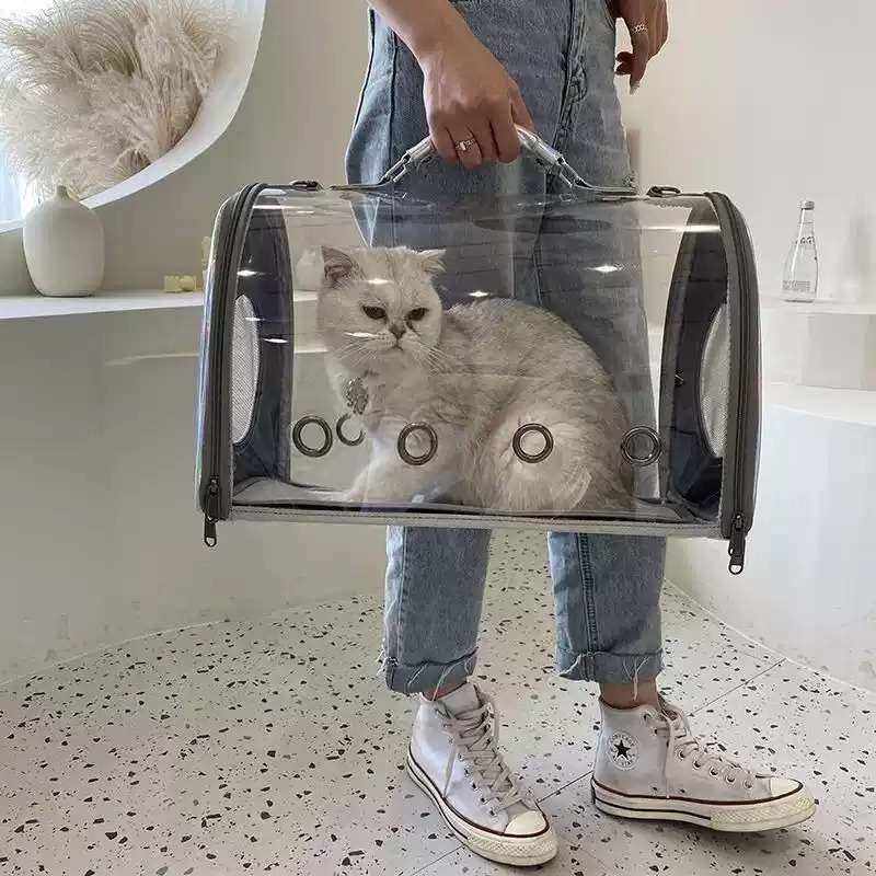 猫包透明外出便携包车载猫咪透气