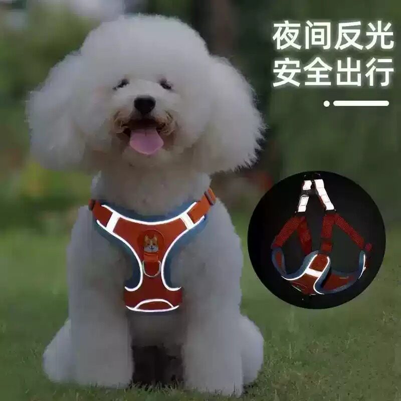 背心式狗狗牵引绳小型犬泰迪比熊