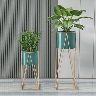 花盆带支架花摆放通用客厅花架子室内家 花架轻奢高级感铁艺落地式