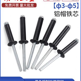 潢钉 铝拉钉 黑色铝制抽芯铆钉开口型拉铆钉 烤漆装 3.2