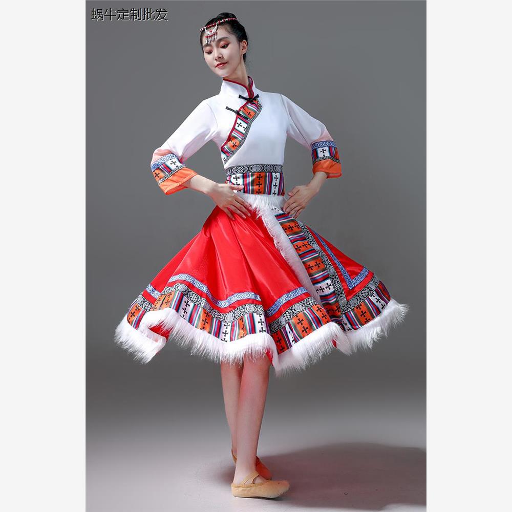 藏族舞蹈演出服装广场舞半身裙民族风表演服饰学生艺考练功练习裙