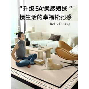 地毯客厅法式 垫子 中古沙发地垫卧室新款 防水免洗复古轻奢高级美式