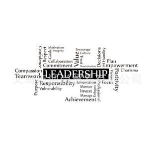 一代精雕LEADERSHIP图案墙贴家居装饰卧室客厅自粘可移除PVC墙贴
