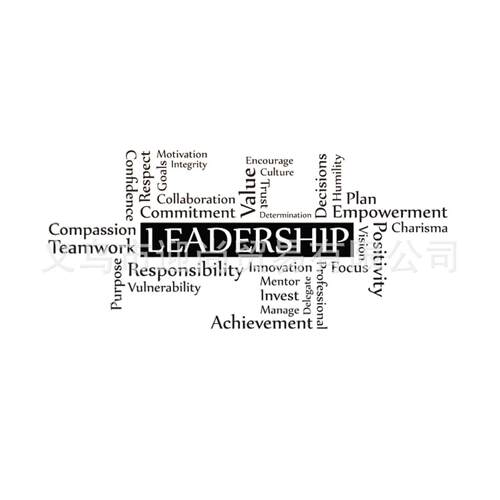 一代精雕LEADERSHIP图案墙贴家居装饰卧室客厅自粘可移除PVC墙贴