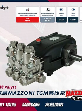 意大利进口 MAZZONI工业泵 热水泵耐热85度 高温柱塞泵 GM系列