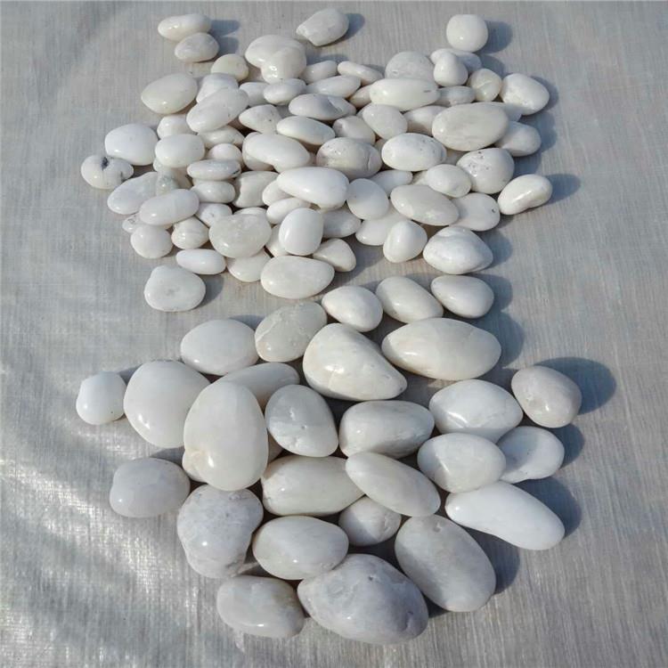 厂家现货供应磨圆高抛1-2,3-4厘米白芙蓉石颗粒 大小雨花石