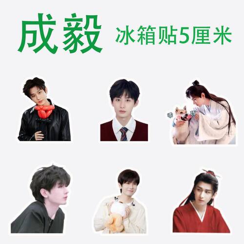 明星贴磁性礼定制diy亚克力成毅