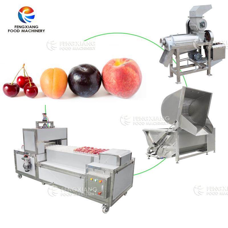 水果桃子黑布林杏子樱桃去核清洗榨汁解决生产线,清洗/食品/商业设备,肉制品加工设备,淘宝优惠券,粉丝福利购,淘宝优惠卷
