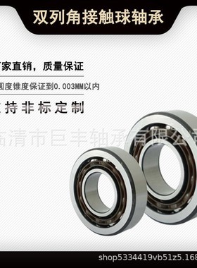 LR5204NPPU/KDDU LR5204-2RS/ZZ 3056类双列球角接触导轨滚轮轴承