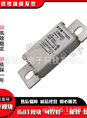 170M1850 170M1851 170M1852 170M1853 170M1860 熔断器型号齐全