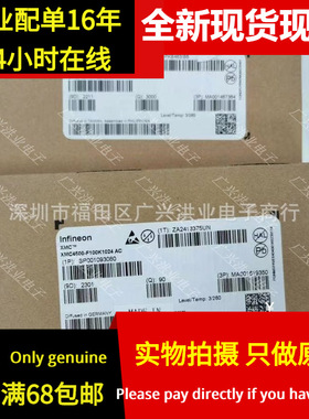 XMC4500F100K1024ACXQSA1 全新现货 IC MCU 32BIT 1MB FLASH 100L