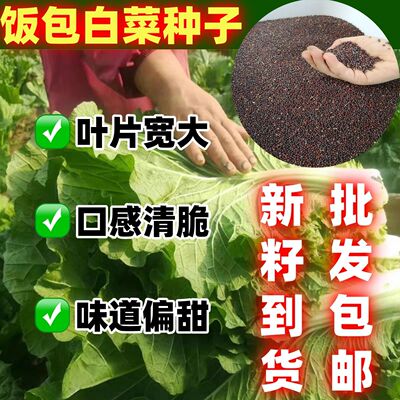 打包白菜叶种子大好吃饭
