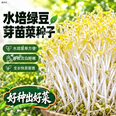 新种水培绿豆芽苗菜种子