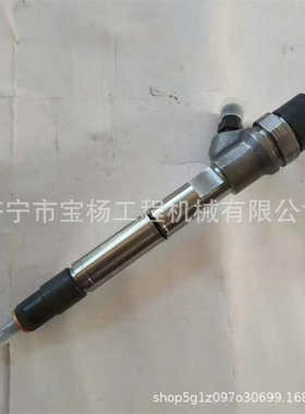 0445110808共轨喷油器0433172557 0445110515喷油嘴总成