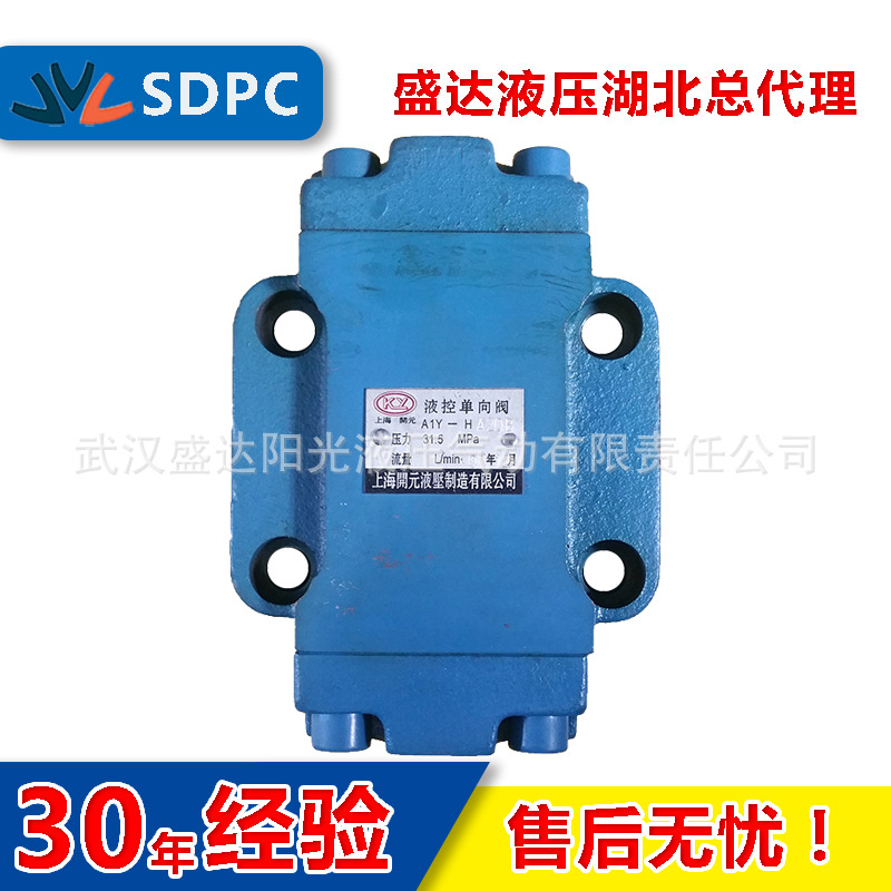 现货 榆次 江苏 A1Y-Hb32B A2Y-Hb32B 液控单向阀 液压锁 保压阀