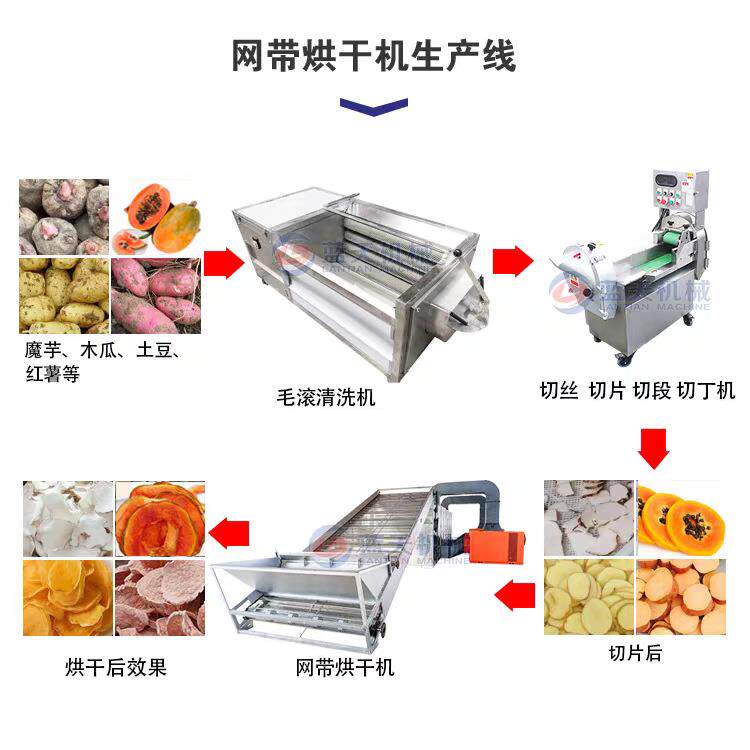 网带生姜清洗切干片漂烫烘干备设 连续式小黄鲜姜片MCG干姜燥生产