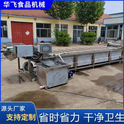 刺梨机 蔬STB菜去污去全泥沙清洗果蔬清洗机 大型自动鼓泡清洗设