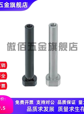 内螺纹带肩铰链销HCLBM SHCLBM6 8 10 12 15 16 20-15 20 25 30