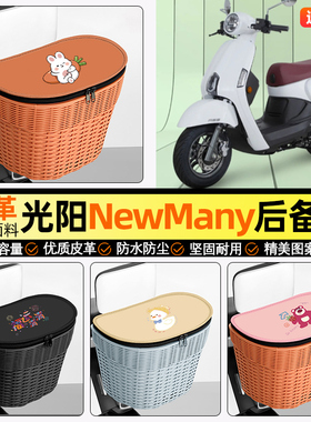 适用光阳NewMany125踏板摩托车储物后备箱挂尾箱后置车篮收纳配件