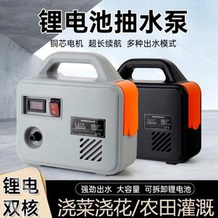 自动户外自吸泵增压小型 抽水泵家用水井农村菜园灌溉浇花充电式