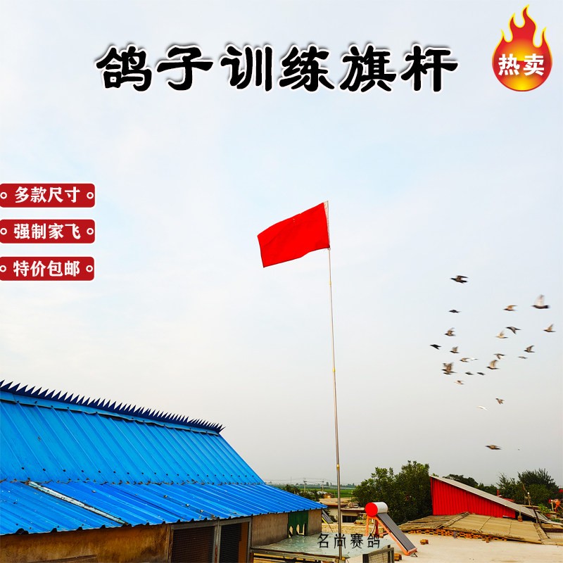 信鸽强制家飞赛鸽训练器棋杆训鸽红旗不锈钢可伸缩抓鸽网兜鸽子用