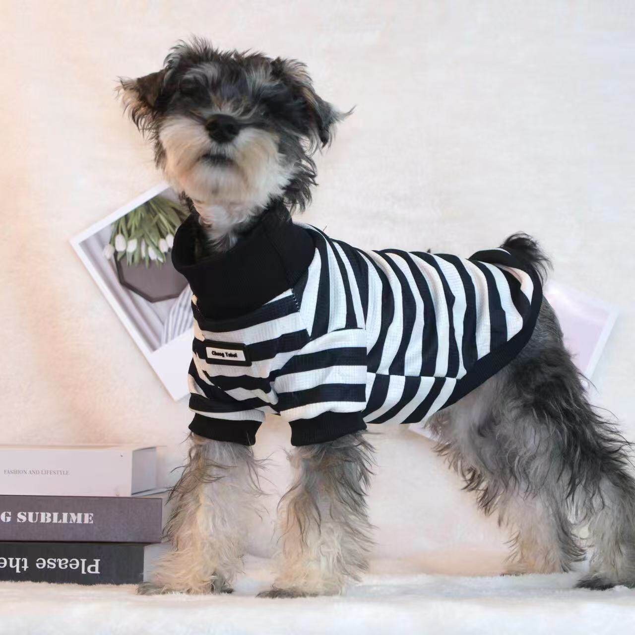 宠物衣服黑白条纹春夏秋新款小型犬同款衣服网红卫衣高领狗狗衣服