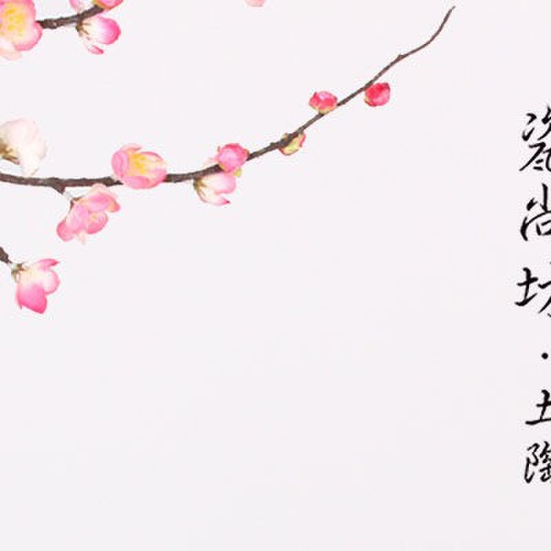 仿古酒碗土碗酒具组套摔碗酒酒杯古代水浒传喝酒助兴道具火锅蘸料