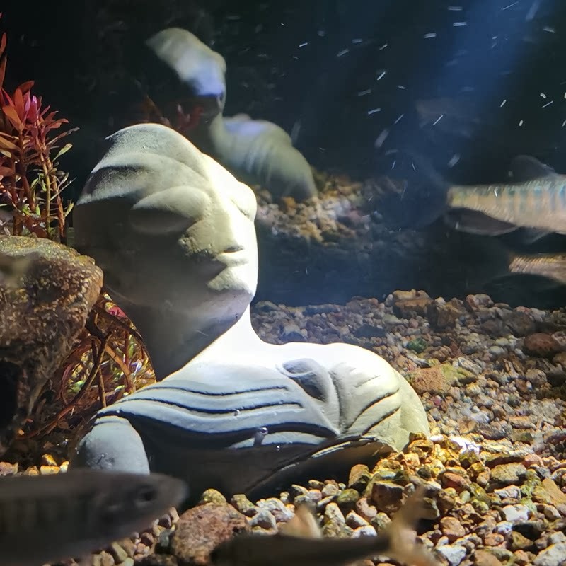 超人力霸王鱼缸装饰造景小号摆件水族箱沉木草缸沉底微景观水泥