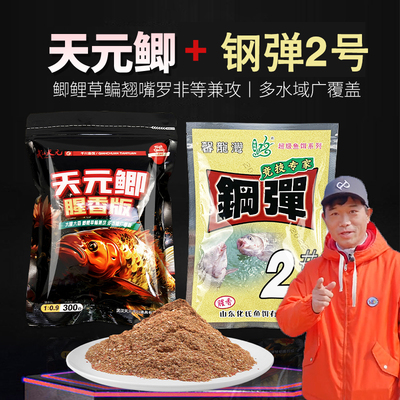 天元鲫鱼鲤鱼野钓饵料腥香版