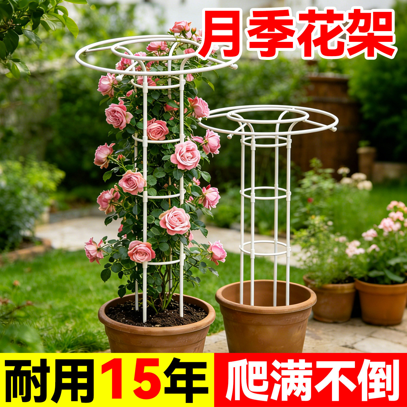 小型园艺花架单双圈伞形爬藤架铁线莲灯笼花攀爬架植物月季花支架