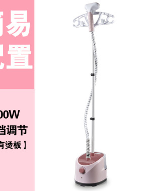 跨镜挂烫机家用熨烫机熨斗小型蒸汽电熨斗烫衣服立式平挂一体机
