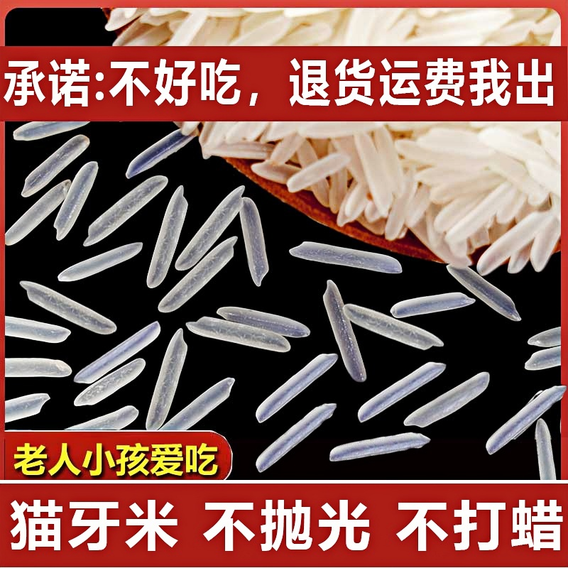 2024年新米正宗猫牙米晚稻丝苗超长粒香米大米5斤10煲仔饭蛋炒饭,粮油调味/速食/干货/烘焙,大米,淘宝优惠券,粉丝福利购,淘宝优惠卷