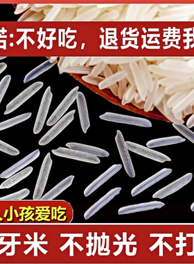 2024年新米正宗猫牙米晚稻丝苗超长粒香米大米5斤10煲仔饭蛋炒饭