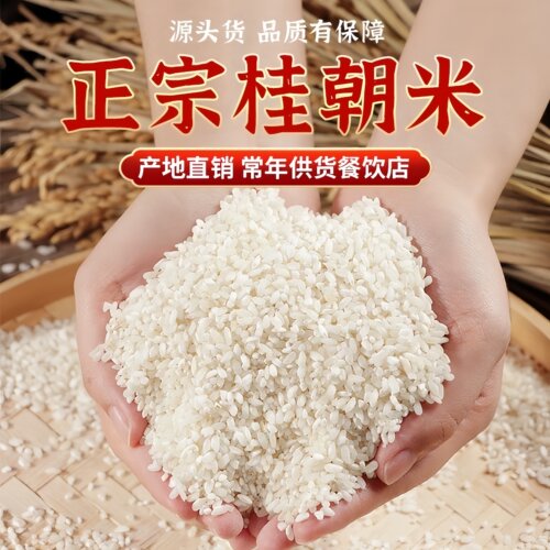 桂朝米农家早稻米凉糕肠粉河粉