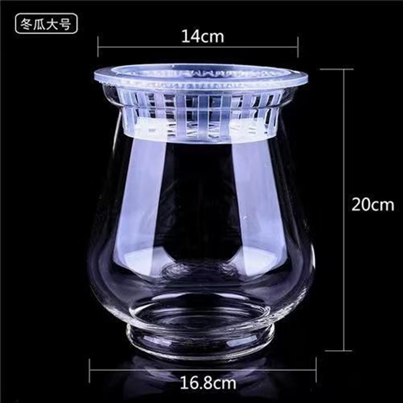 水培绿萝花瓶冬瓜型透明风信子铜钱草敞口花瓶水培植物玻璃瓶花盆,鲜花速递/花卉仿真/绿植园艺,花瓶,淘宝优惠券,粉丝福利购,淘宝优惠卷