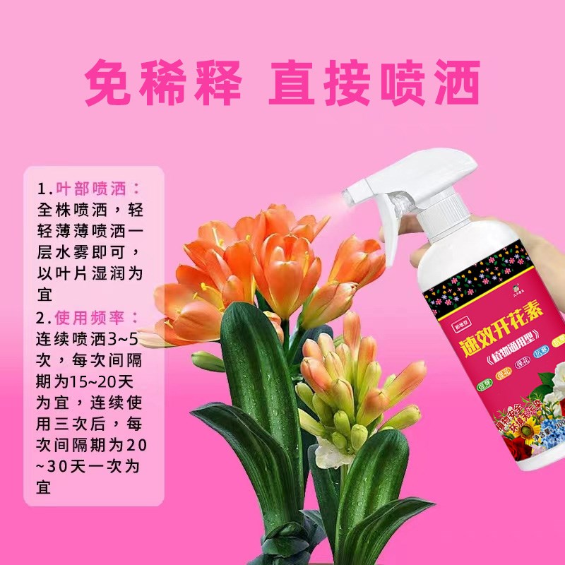 八个老头开花素花卉即喷型营养液鲜花观花植物通用养花肥