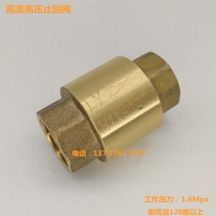 锅炉用止回阀江心盛田蒸汽发生器佳先配件耐高温防回水阀止逆水阀