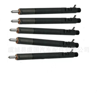 28437695/28457628/28397569喷油器A6650170221 EJBR04401D