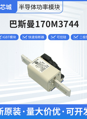巴斯曼熔断器   170M2619   原厂出货 破顺包退 可开专票