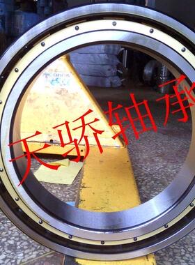 61956M 天骄薄壁轴承  6956-2RS 1000956M 铜保持架 61956-2RS